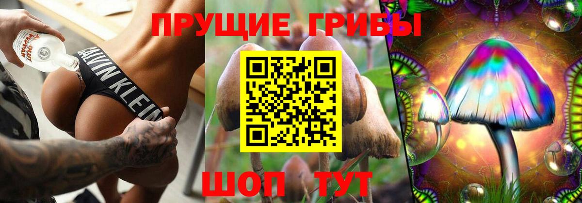 Псилоцибиновые грибы Cubensis  Псилоцибиновые грибы Cubensis  Вход с VPN  Электросталь 